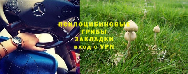 Альфа ПВП Новокубанск