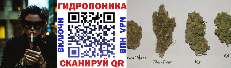Каннабис семена  кракен вход  Колпашево 